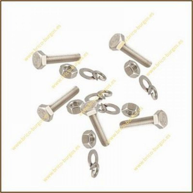 Blister tornillo m6x40 c/hex. t/aran. -4 ud-