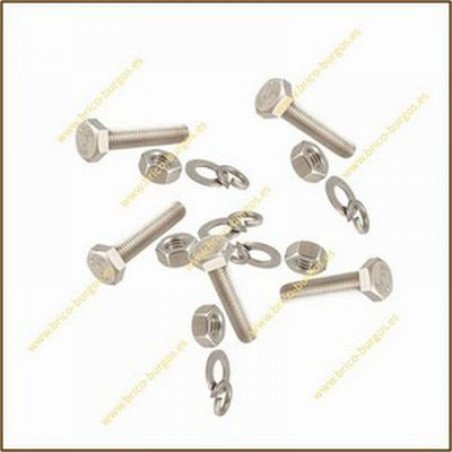 Blister tornillo m6x40 c/hex. t/aran. -4 ud-