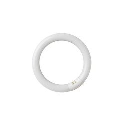 Tubo fluoresc. circular t9 40w g10q 6400k