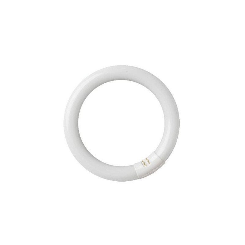 Tubo fluoresc. circular t9 32w g10q 6400k