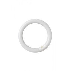 Tubo fluoresc. circular t9 40w g10q 6400k