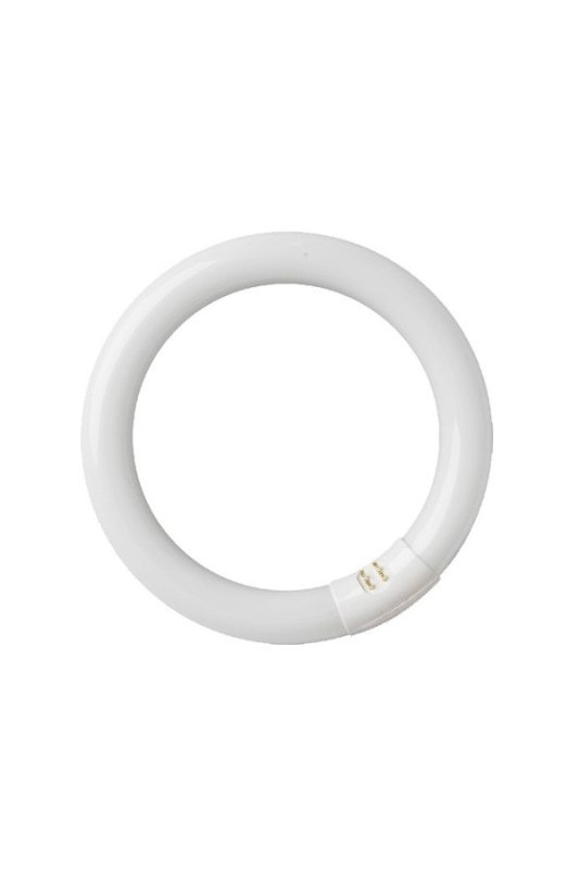 Tubo fluoresc. circular t9 32w g10q 6400k