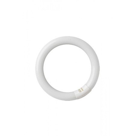Tubo fluoresc. circular t9 32w g10q 6400k