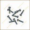Blister tornillo m8x70 -2 ud-