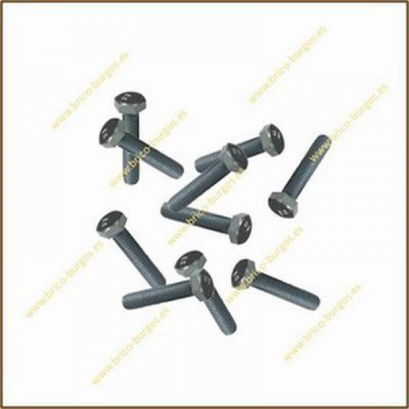 Blister tornillo m8x50 -2 ud-