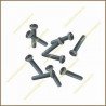 Blister tornillo m8x50 -2 ud-