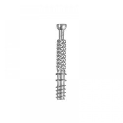 Perno mod. 55 m6 acero zincado