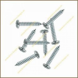 Blister tornillo rosca chapa cab. alomada ph 4.8x38