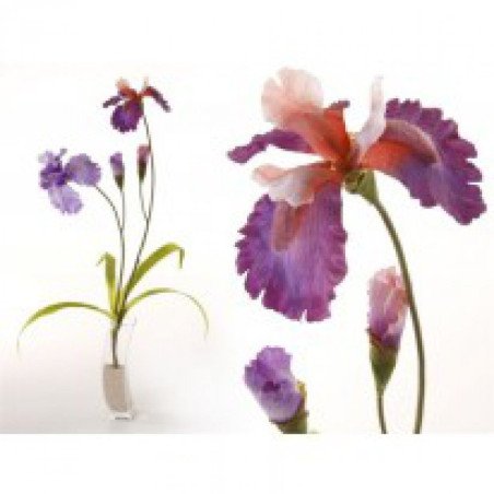 Rama morado garden 93,00 cm