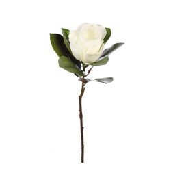 Magnolia 72 cm diam 20 cm blanco