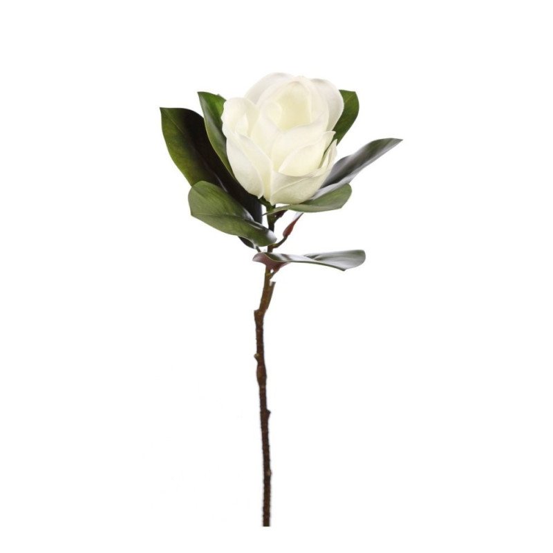 Magnolia 72 cm diam 20 cm blanco