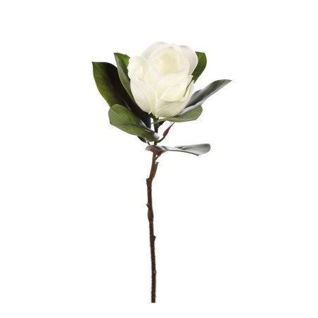Magnolia 72 cm diam 20 cm blanco