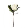 Magnolia 72 cm diam 20 cm blanco